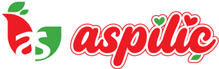 Aspiliç Logo