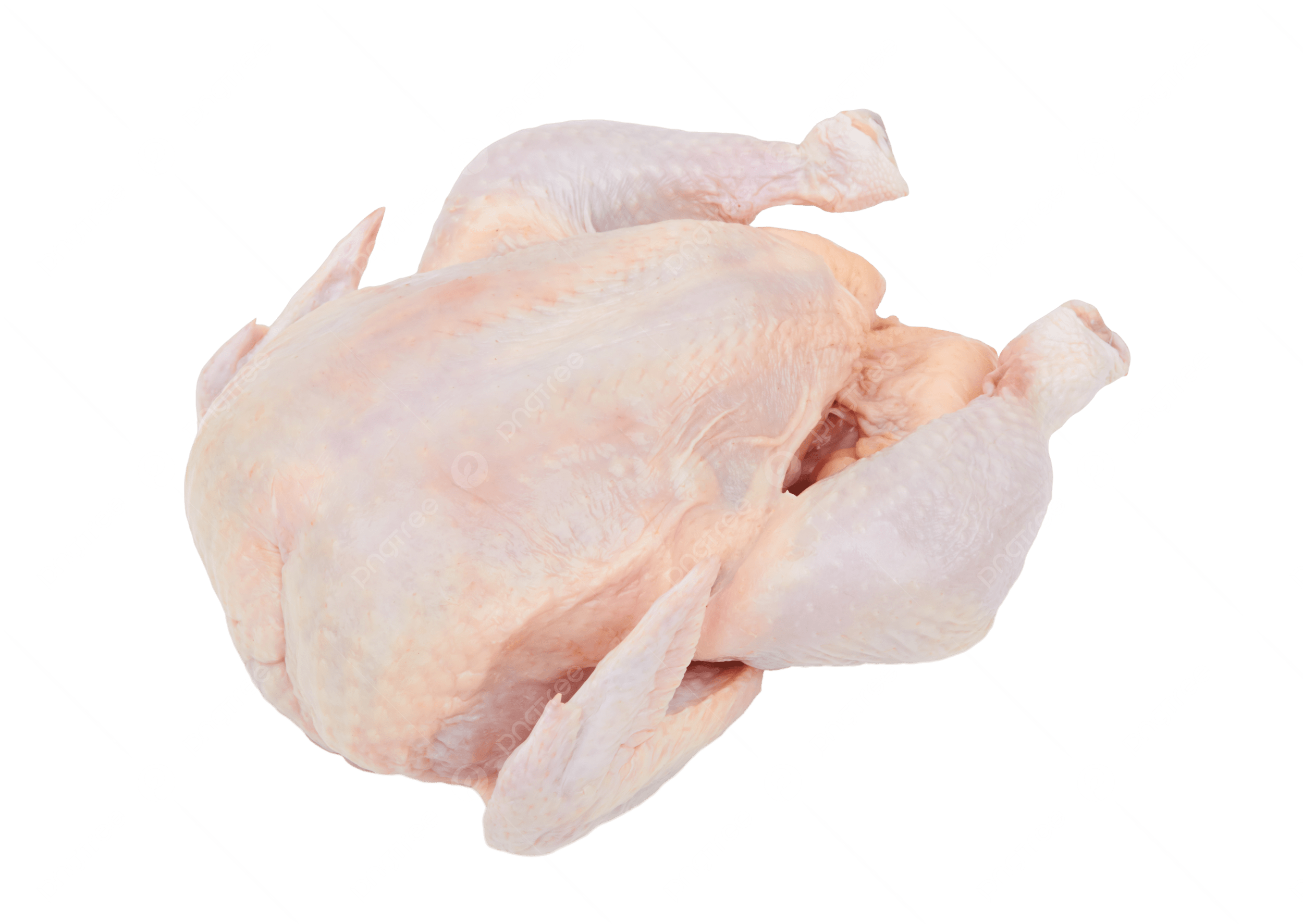 Dondurulmuş Bütün Tavuk